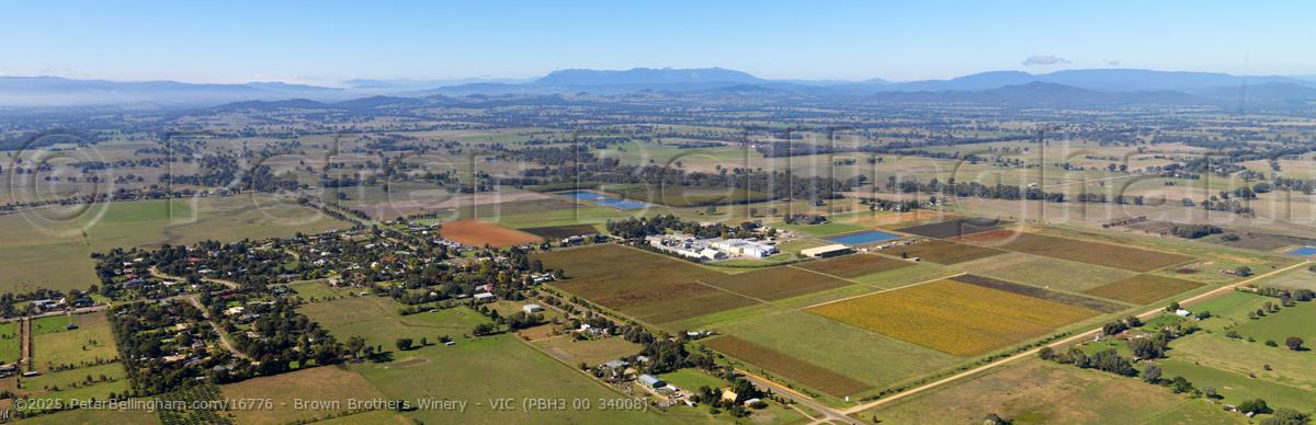 Peter Bellingham Photography Brown Brothers Winery - VIC (PBH3 00 34008)